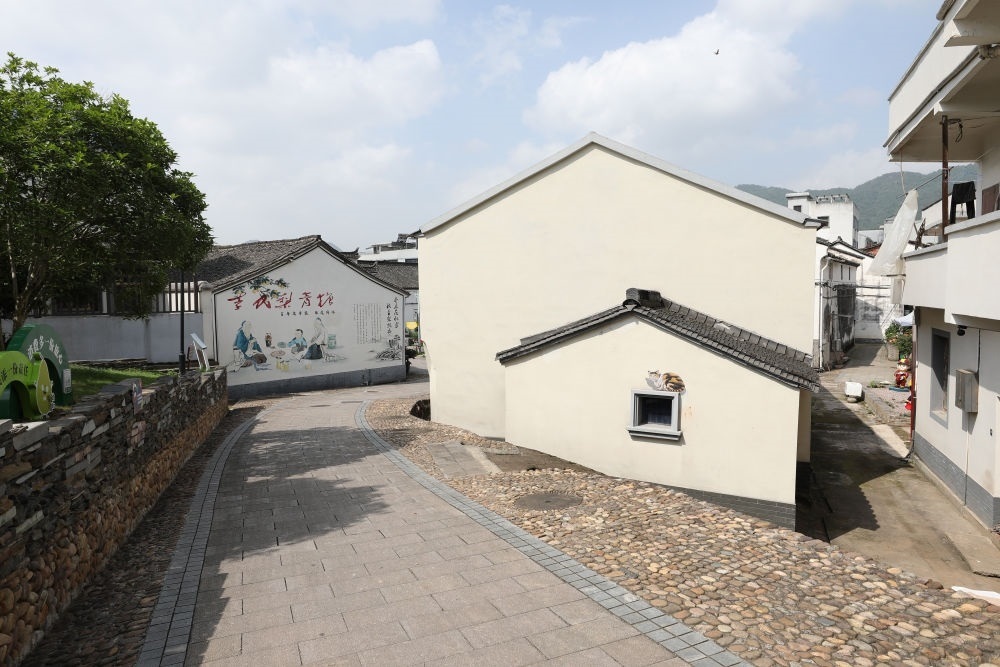 浙江省義烏市李祖村一景（2023年5月23日攝）。新華社記者 杜瀟逸 攝