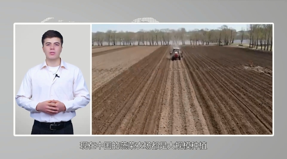 【國際3分鐘】中國大蒜成國家威脅？美政客反智言論背后的問題值得思考_fororder_2