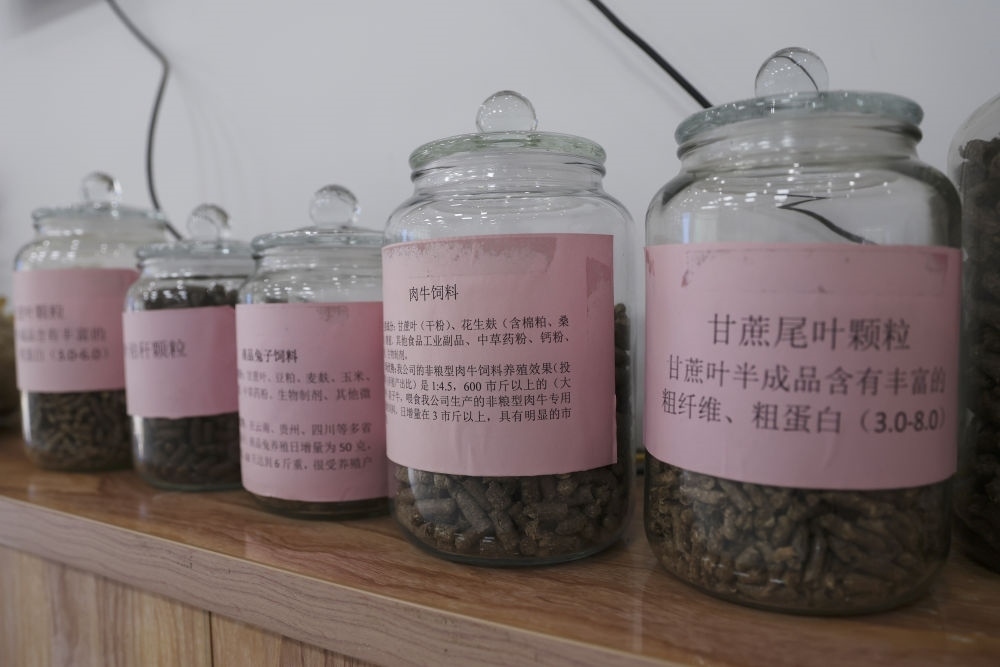 這是12月13日在來賓市興賓區(qū)小平陽鎮(zhèn)一家飼料廠拍攝的以甘蔗尾葉為原料制成的飼料。