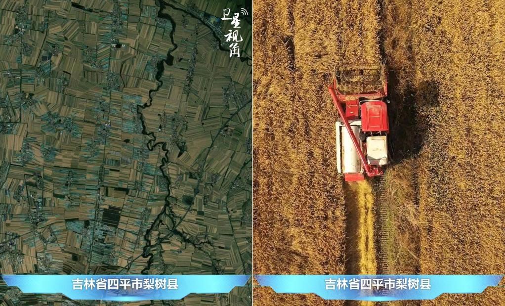 隨著現(xiàn)代化農(nóng)機(jī)普及應(yīng)用，保護(hù)性耕作“梨樹模式”得以大面積推廣，不僅使黑土地保護(hù)與利用持續(xù)深入，更為糧食作物高產(chǎn)穩(wěn)產(chǎn)助力。