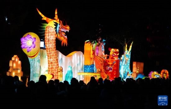 2月11日晚，人們在濟南市趵突泉公園觀賞花燈。