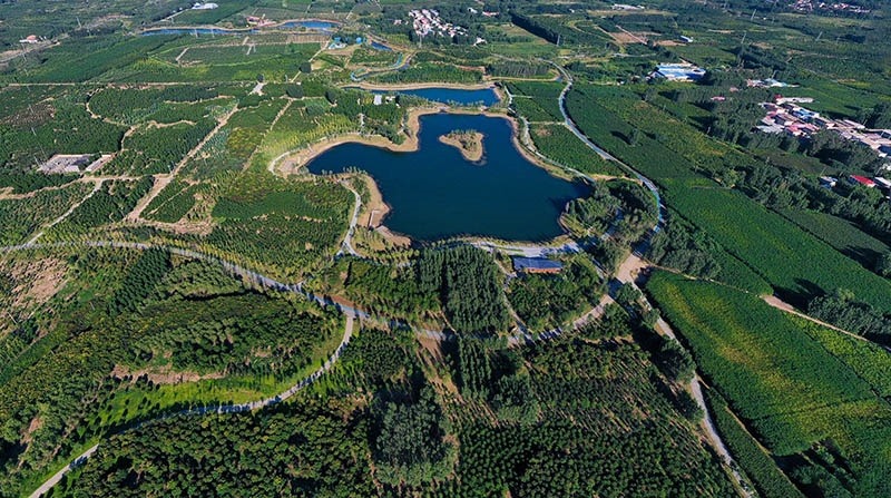 這是2022年9月6日拍攝的雄安新區(qū)“千年秀林”。