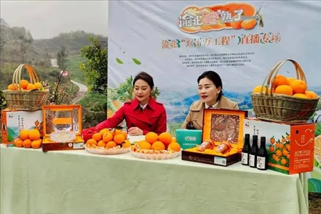 2021年2月26日，在重慶渝北區(qū)大盛鎮(zhèn)青龍村舉辦的直播活動(dòng)現(xiàn)場(chǎng)。