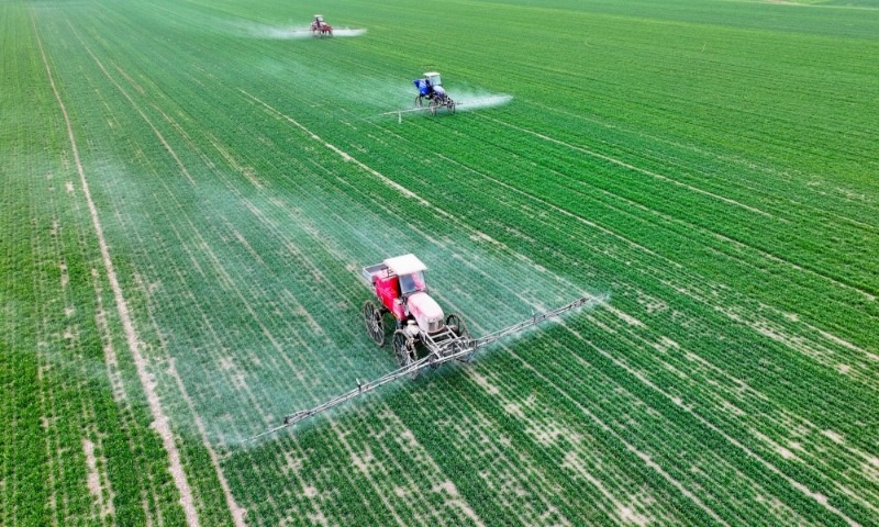 2024年2月18日，安徽省亳州市，利辛縣紀(jì)王場(chǎng)鄉(xiāng)孫老家村麥田，農(nóng)民駕駛自走式高桿噴霧機(jī)對(duì)小麥進(jìn)行噴藥作業(yè)。