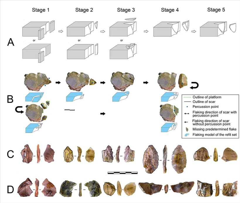 岑家灣遺址“準備石核技術(shù)”及相關(guān)石制品。（受訪單位供圖）