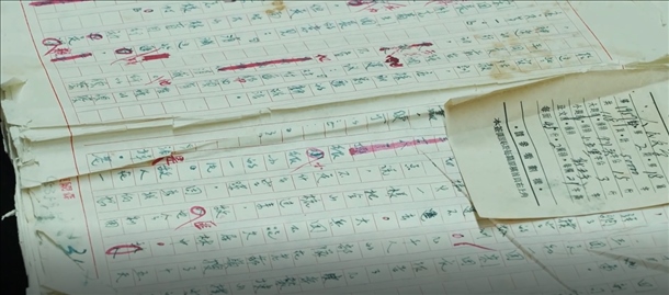 曲波《林海雪原》手稿。主辦方供圖