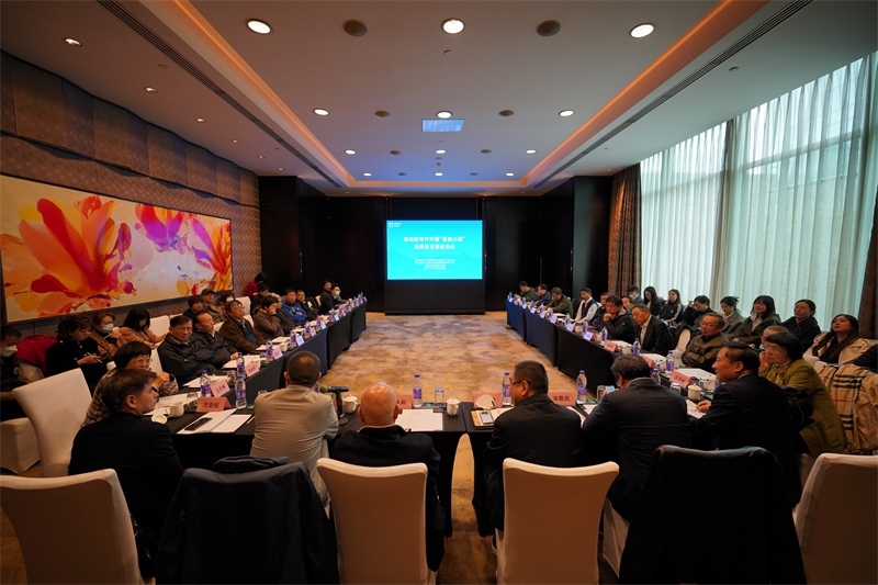 座談會現(xiàn)場。主辦方供圖