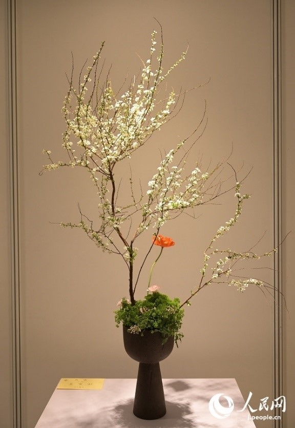 插花作品。人民網(wǎng) 玄番登史江攝