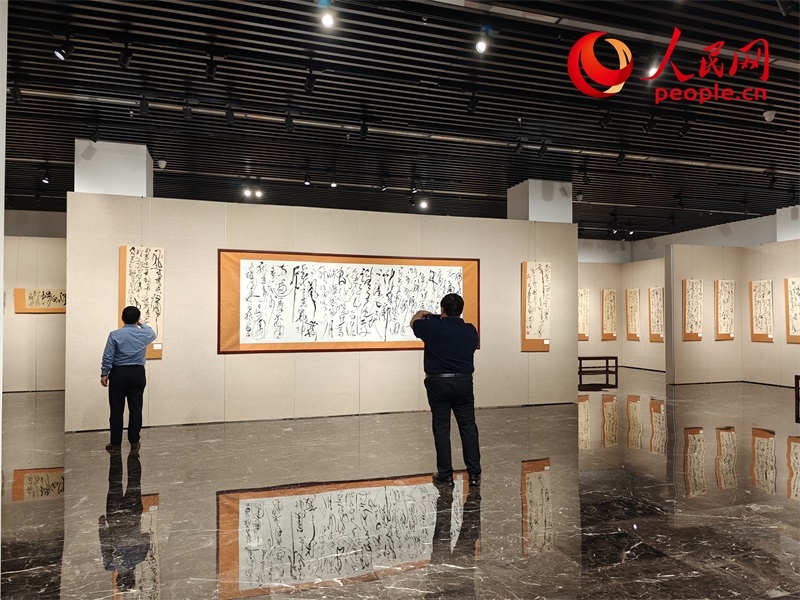 觀眾正在參觀展覽。人民網記者 韋衍行攝