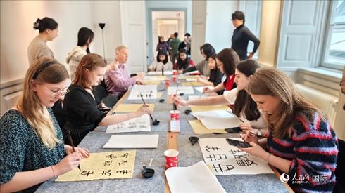 瑞典書法愛好者專心學習書法。人民網(wǎng)記者 殷淼攝