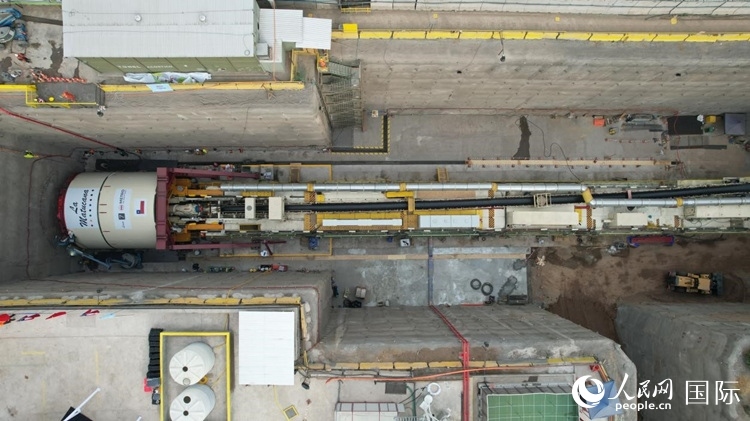 質(zhì)構(gòu)機全景。陳露明攝