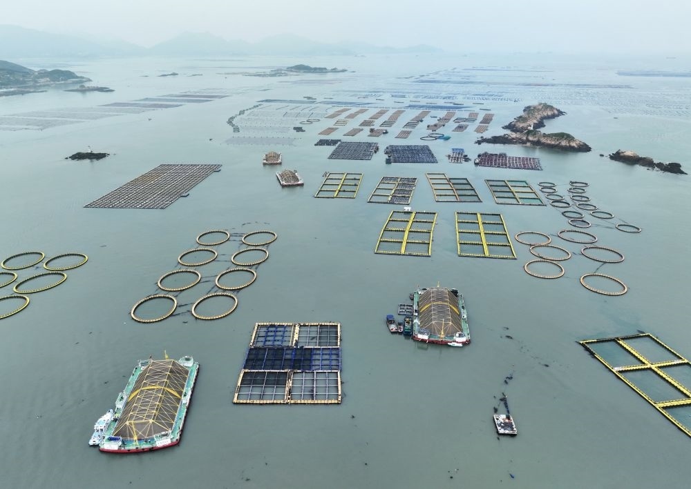 在福建連江定海灣海域，坐落著“定海灣1號(hào)”“定海灣2號(hào)”等深遠(yuǎn)海養(yǎng)殖平臺(tái)（2024年5月7日攝，無(wú)人機(jī)照片）。新華社記者 林善傳 攝