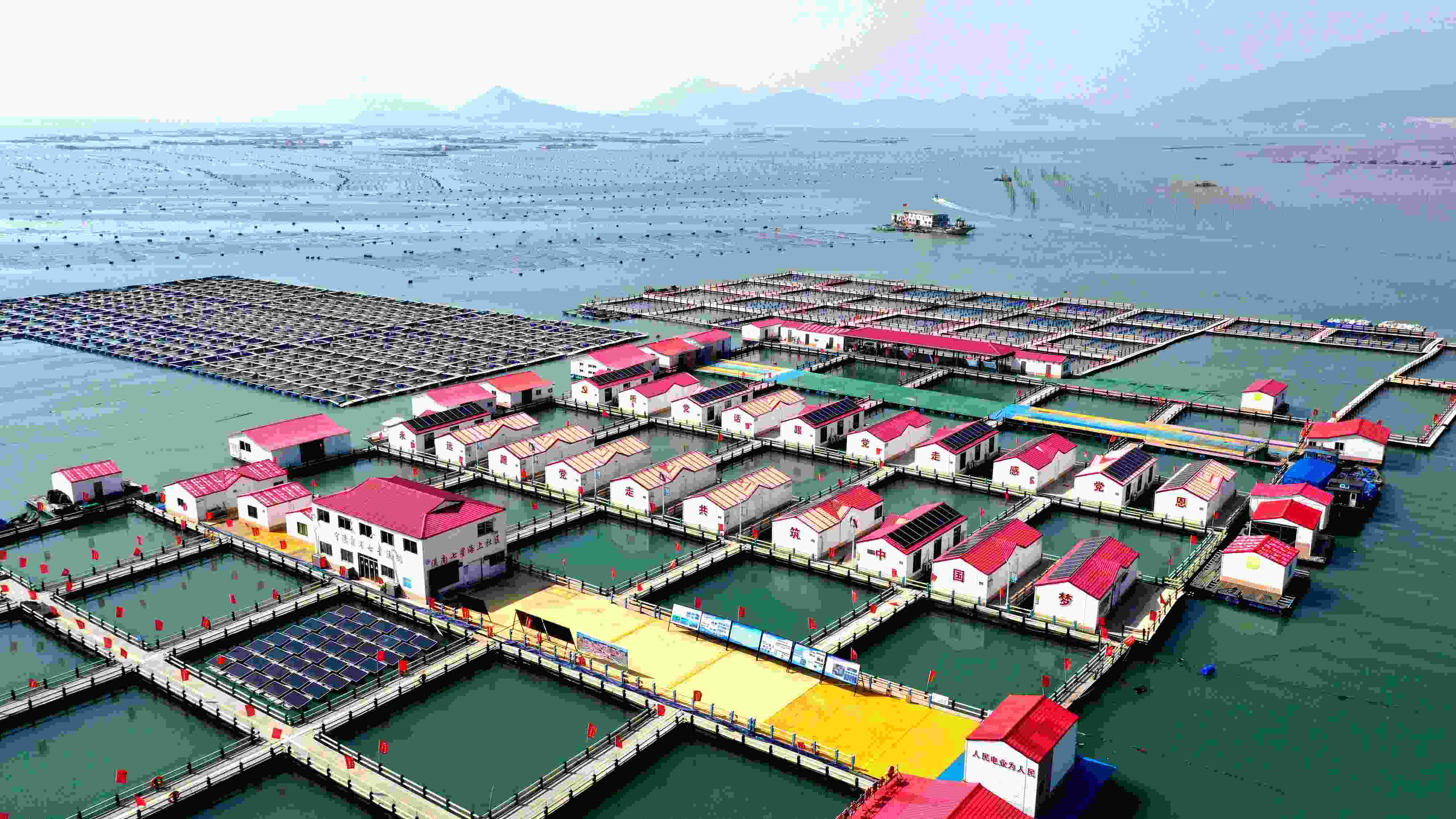 2024年3月20日，福建省寧德市，霞浦縣溪南鎮(zhèn)七星村漁排養(yǎng)殖示范區(qū)，漁民駕駛養(yǎng)殖船進行海參養(yǎng)殖作業(yè)。