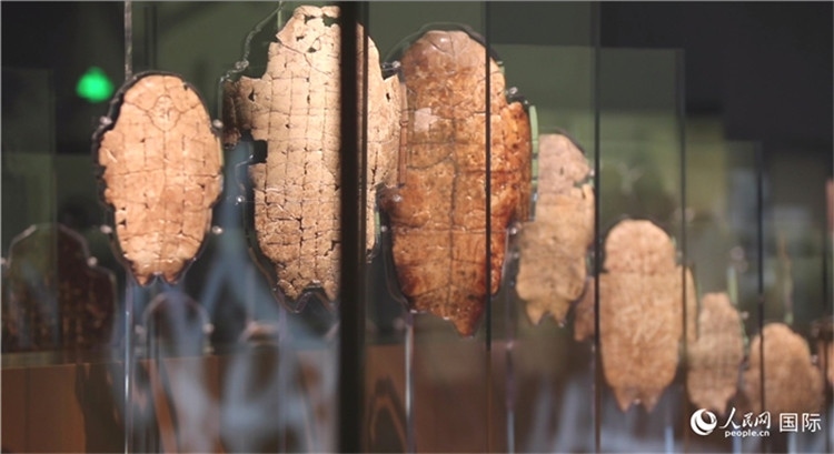 殷墟博物館新館的甲骨展品。人民網(wǎng)記者 劉寧攝