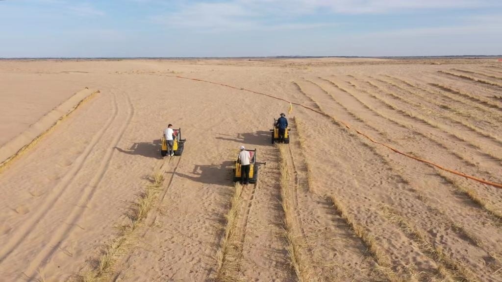 內蒙古巴彥淖爾市烏拉特后旗西補隆林業(yè)管護中心職工駕駛機械鋪設壓沙障。新華社記者 李云平 攝