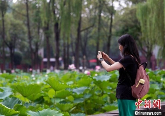 6月19日，時值一年畢業(yè)季，四川大學(xué)望江校區(qū)荷花池里的荷花盛開，成為了畢業(yè)生們的打卡圣地，吸引了眾多畢業(yè)生拍照留念。圖為畢業(yè)生在荷花池邊拍照留念。中新社記者 安源 攝