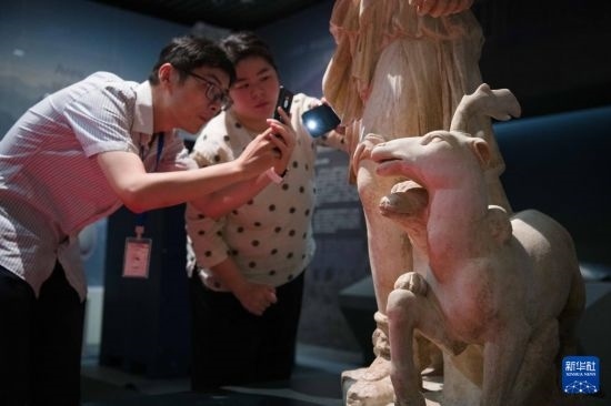 7月2日，安徽博物院工作人員在拍攝開(kāi)箱后的古希臘文物。新華社記者 張端 攝