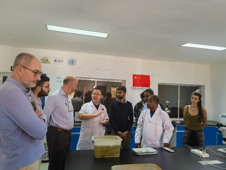 活動(dòng)現(xiàn)場(chǎng)。專(zhuān)家組供圖