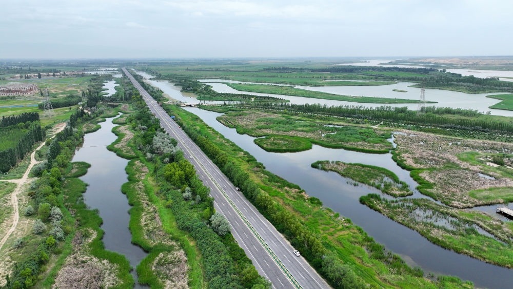 這是2024年6月13日拍攝的黃河寧夏段濱河大道（無人機(jī)照片）。近年來，寧夏努力建設(shè)黃河流域生態(tài)保護(hù)和高質(zhì)量發(fā)展先行區(qū)，全力打好黃河保護(hù)持久戰(zhàn)。新華社記者 王鵬 攝
