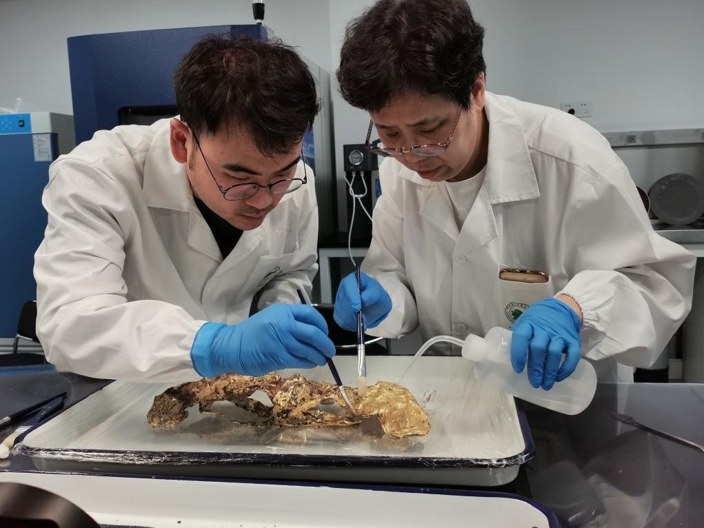 2023年7月，馬燕如（右）帶著魯海子（左）修復(fù)三星堆遺址出土的黃金面具。新華社發(fā)（四川省文物考古研究院供圖）