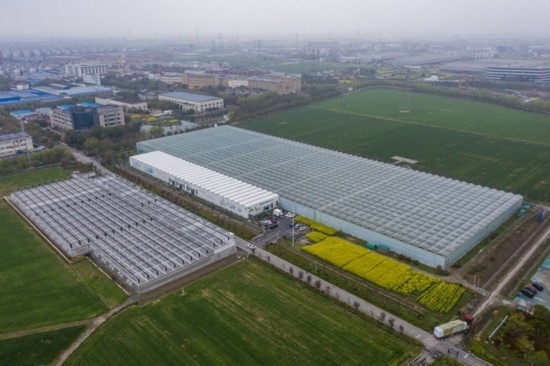 2024年3月28日，空中俯瞰嘉興南湖區(qū)湘家蕩農(nóng)業(yè)數(shù)字化工廠（無人機照片）。該農(nóng)業(yè)數(shù)字化工廠占地總面積約62畝，包含智慧農(nóng)業(yè)生產(chǎn)、物聯(lián)網(wǎng)智能管理、自動分揀包裝、保鮮儲藏物流、高科技示范展示等五大功能區(qū)，可直接或間接培養(yǎng)帶動新型職業(yè)技術農(nóng)民500人以上。新華社記者 徐昱 攝