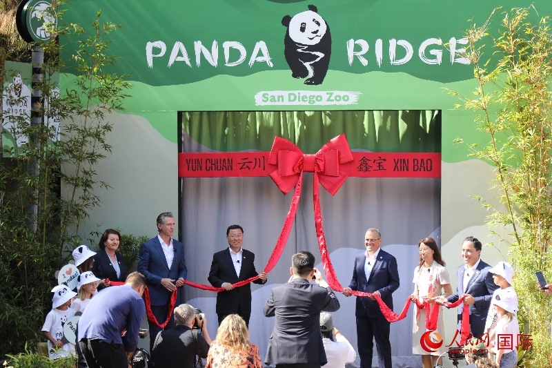 1、中國駐美國大使謝鋒、加州州長紐森、圣迭戈市市長格洛利亞等人共同為“熊貓嶺”開館剪彩。 人民網(wǎng)記者 李志偉攝