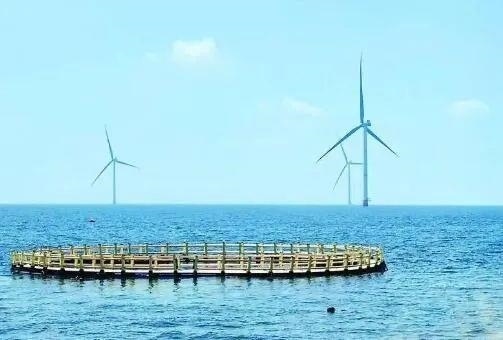 △山東萊州風(fēng)電項目實現(xiàn)了海上風(fēng)電和海洋牧場融合發(fā)展。