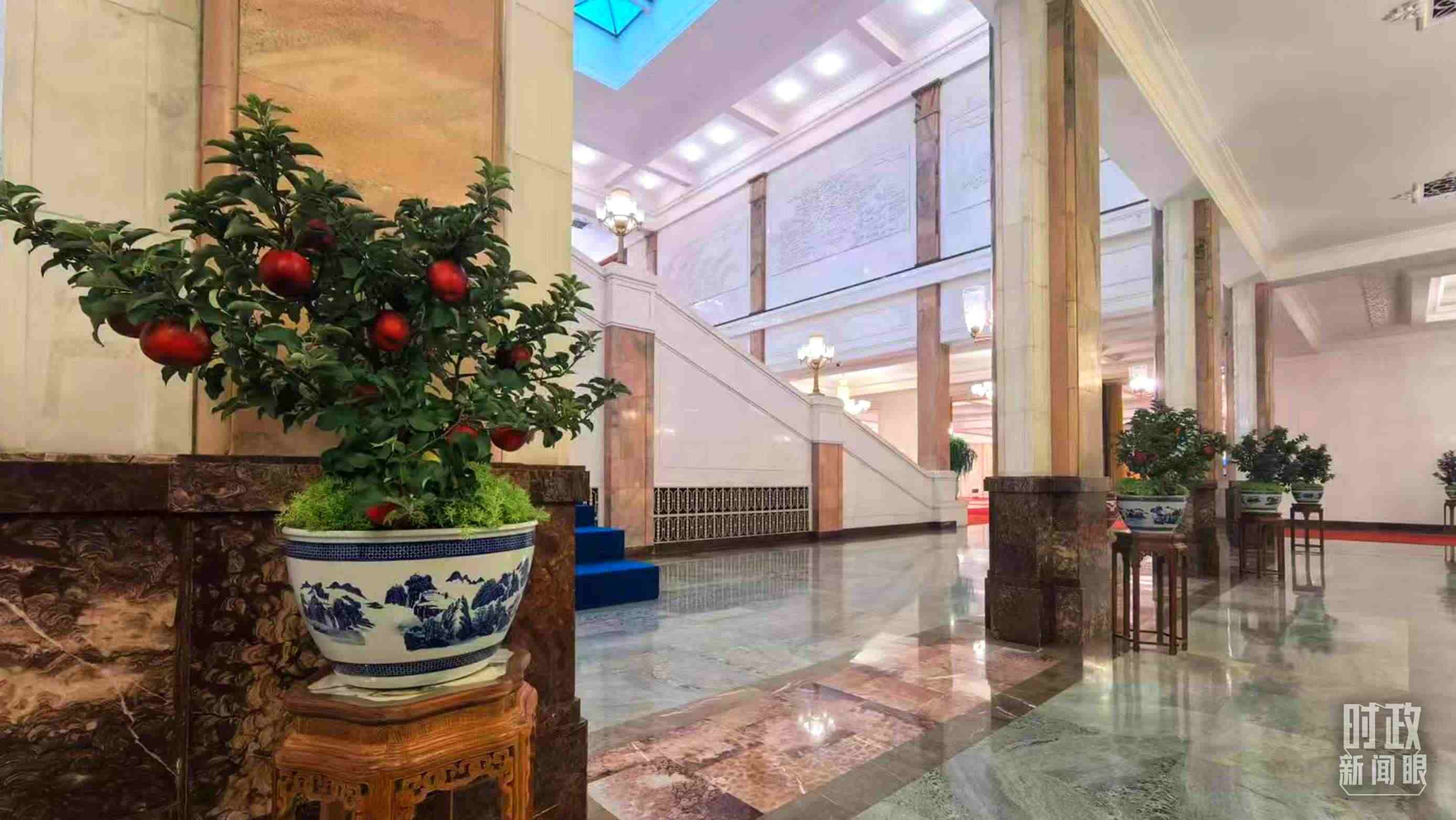  △大會(huì)堂內(nèi)的“碩果累累”盆栽。（總臺(tái)國廣記者吳倩拍攝）