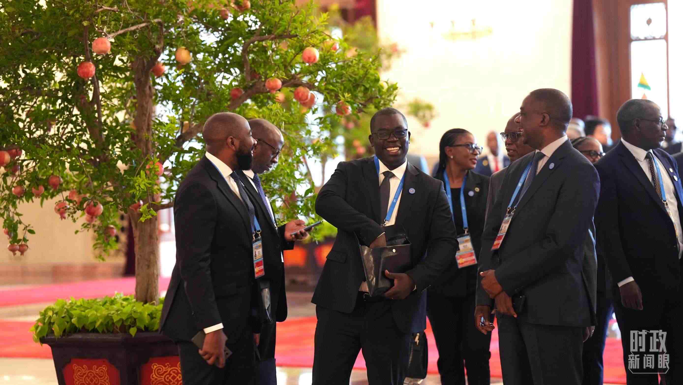 出席中非合作論壇北京峰會(huì)的非洲國家代表。（總臺(tái)記者李晉拍攝）