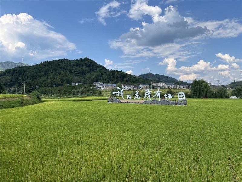 青瓦白磚的黔北民居、風(fēng)中搖曳的稻田、抬手可觸的大片云朵……才剛下車，格魯吉亞“經(jīng)濟(jì)中心網(wǎng)”總編輯莉安娜·喬爾喬利亞尼就被眼前的景色拖住了步履，喃喃細(xì)語：“實(shí)在太美了，讓我內(nèi)心平靜，在這里生活一定非常安逸和幸福?！保ㄇ褫x攝）