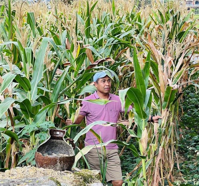不是攀登石林高臺(tái)，就是鉆入玉米莊稼地，吉爾吉斯斯坦《自由之山報(bào)》總編輯納拉雷·阿桑巴耶夫“身手不凡”，與生長(zhǎng)旺盛的玉米構(gòu)成了花茂村的鄉(xiāng)間野趣。（張亞欣攝）