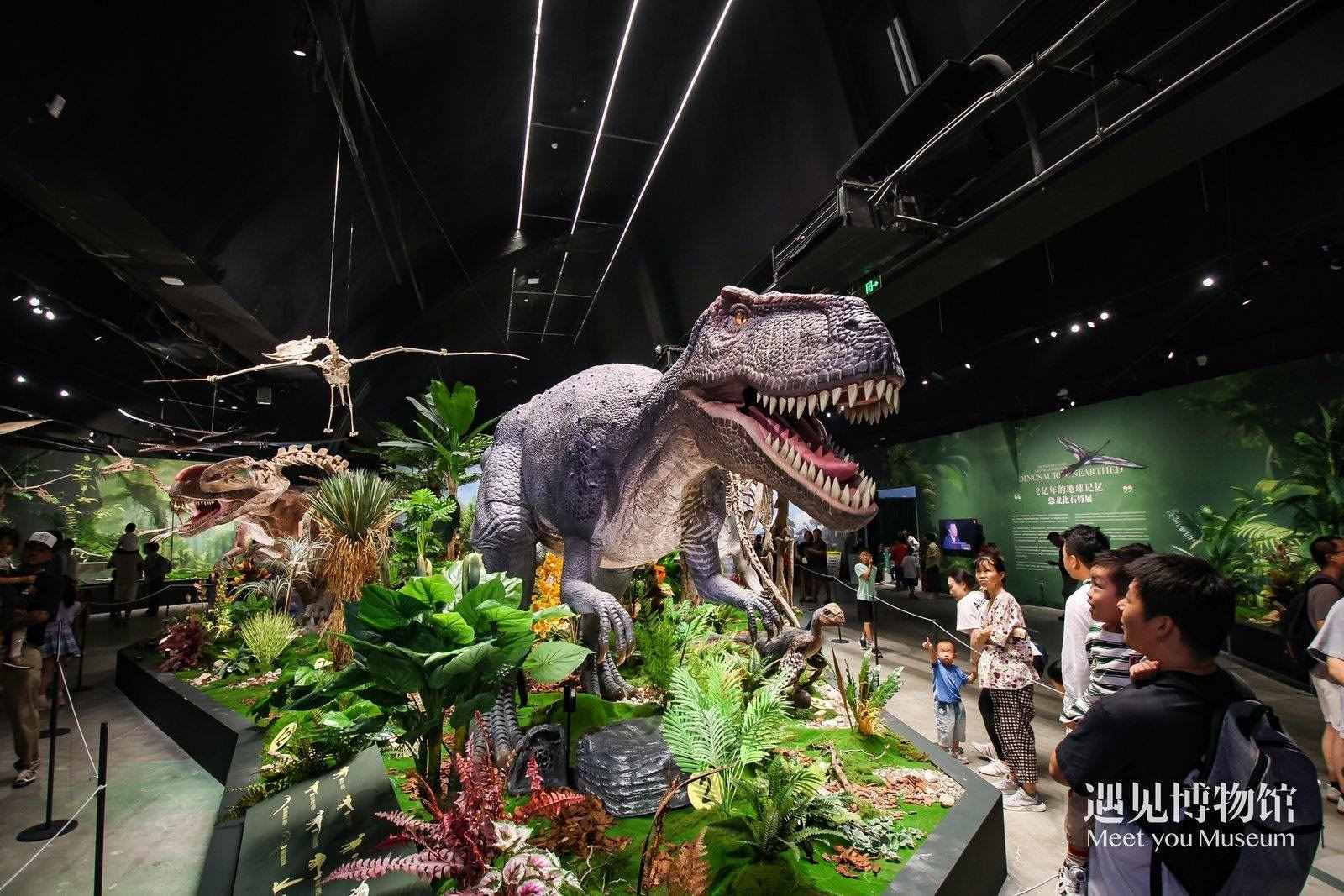 2. 游客參觀“2億年的地球記憶——恐龍化石特展”。遇見博物館供圖
