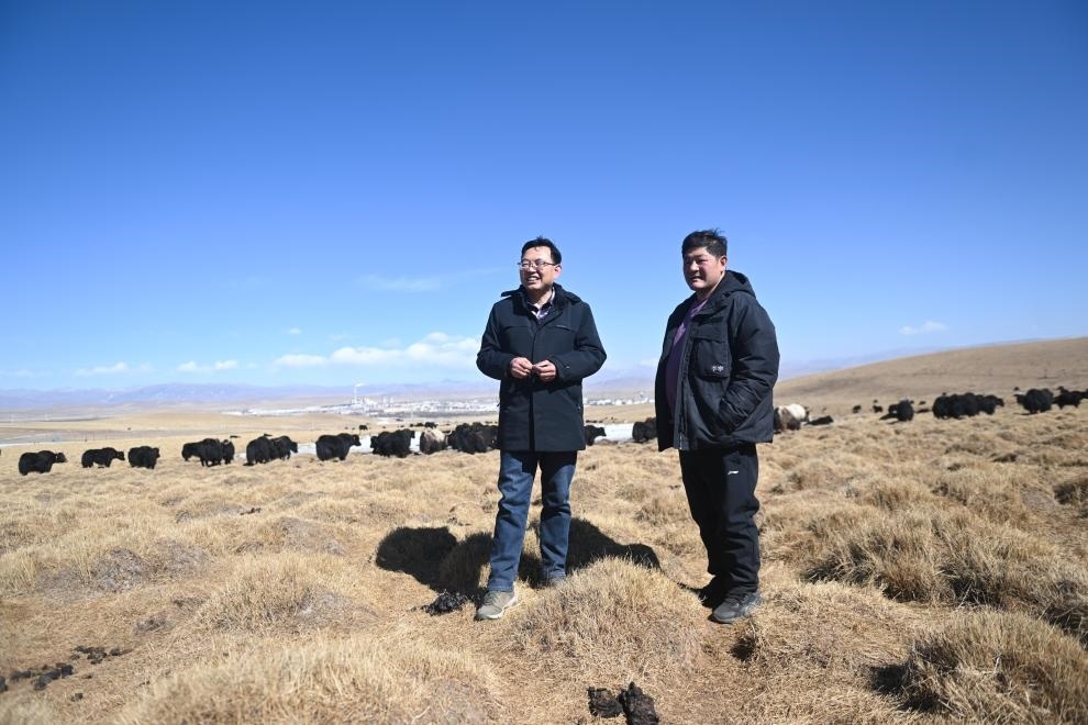 2023年2月24日，在青海省海北藏族自治州海晏縣青海湖鄉(xiāng)達(dá)玉日秀村，全國(guó)人大代表董全民（左）查看牧民東知布家的草場(chǎng)。新華社記者 張龍 攝