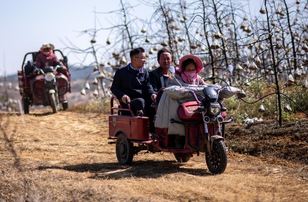 全國(guó)人大代表袁海波（右三）在云南省曲靖市馬龍區(qū)一種植基地了解務(wù)工人員就業(yè)需求（2023年2月11日攝）。新華社記者 江文耀 攝