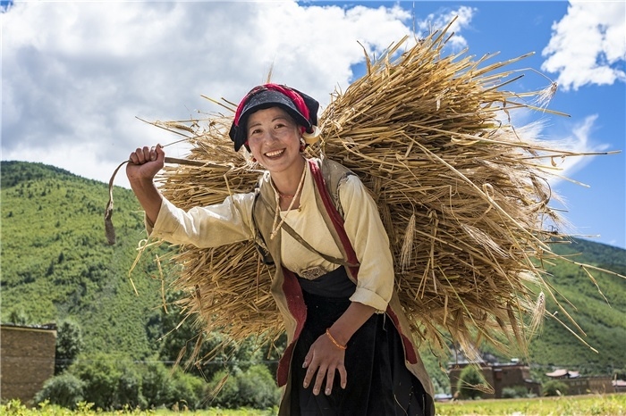 康定市甲根壩鎮(zhèn)青稞豐收，農(nóng)牧民臉上洋溢著豐收的喜悅。林革文攝