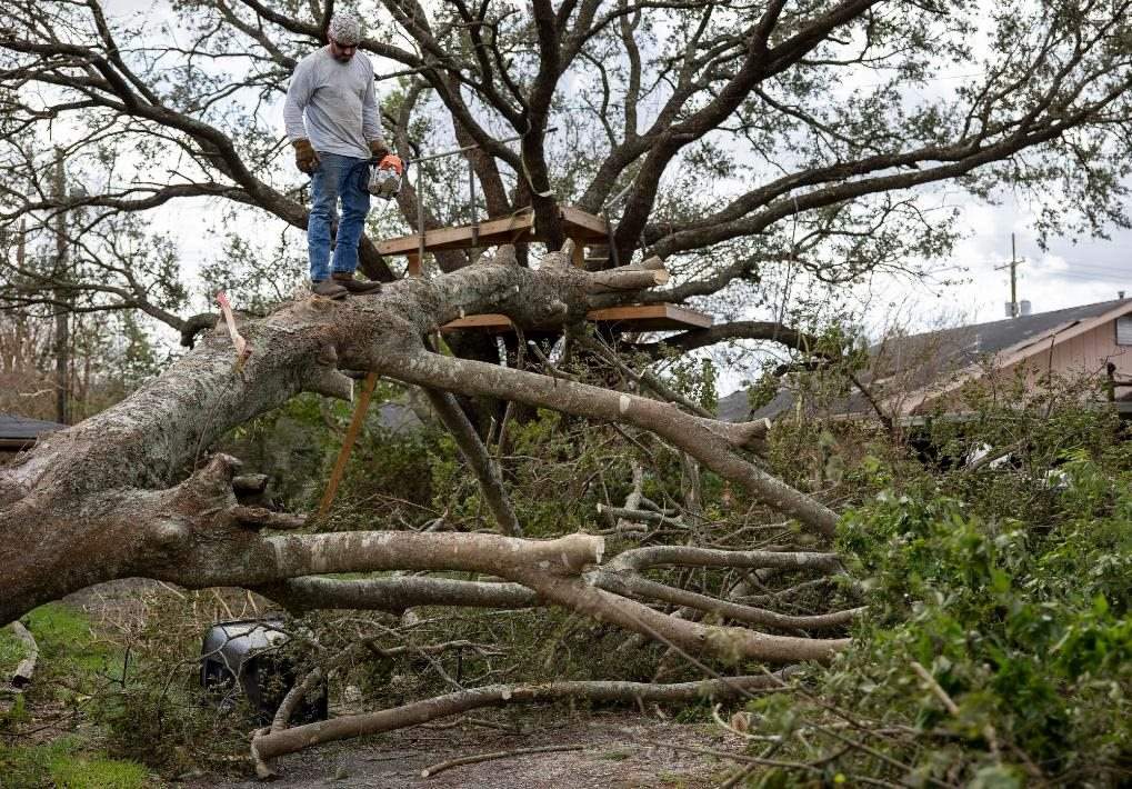 2021年8月30日，在美國路易斯安那州霍馬，一名男子站在被颶風(fēng)吹倒的大樹上。新華社發(fā)（尼克·瓦格納 攝）
