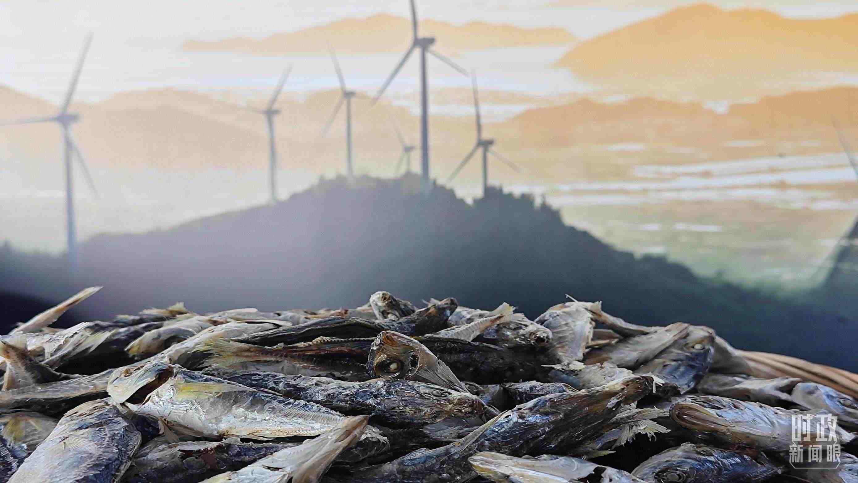 △澳角村的海產(chǎn)品。（總臺央視記者許永松拍攝）