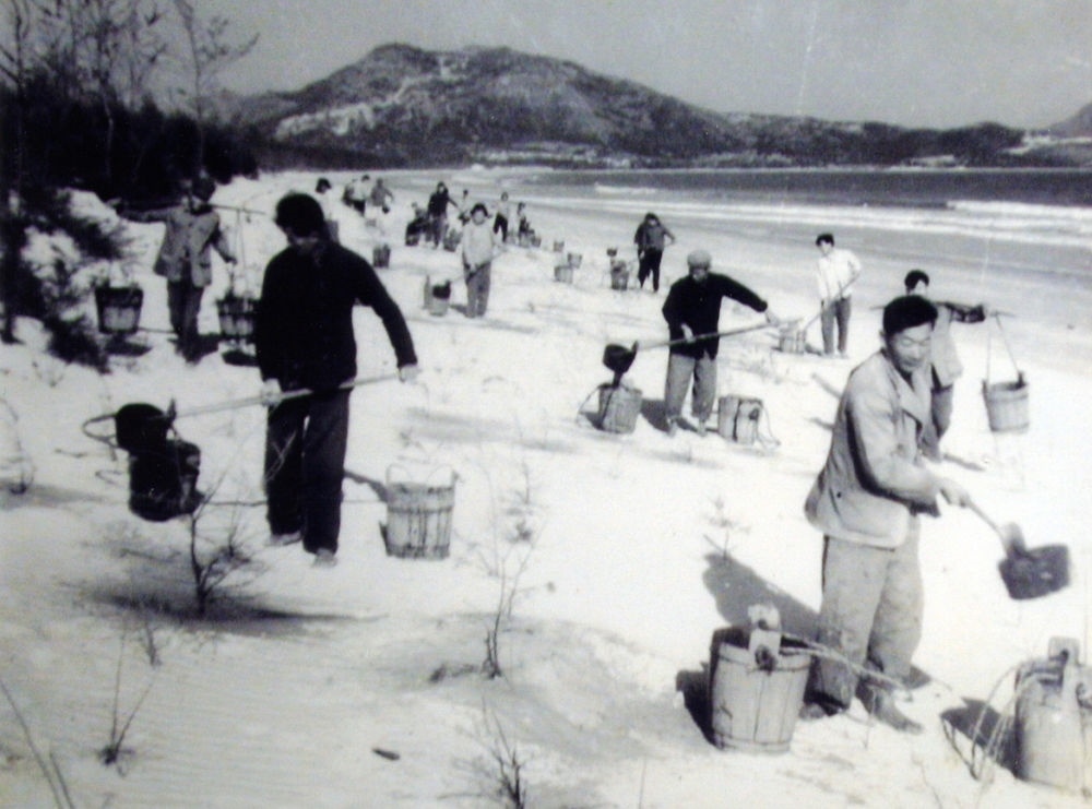上世紀東山百姓在沙灘造林（資料照片）。