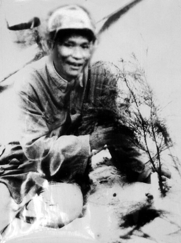 谷文昌與試種成活的木麻黃（資料照片）。為了治沙，谷文昌爬遍了東山縣400多個山頭，踏遍了30多公里的沙灘，終于帶領(lǐng)東山人民試種木麻黃成功。