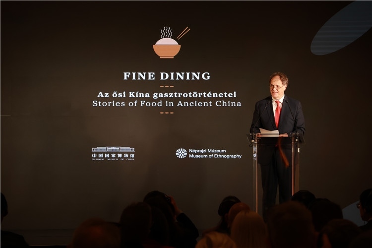 匈牙利文化和創(chuàng)新部副國務(wù)秘書喬鮑致辭。圖片由中國駐匈牙利大使館提供。