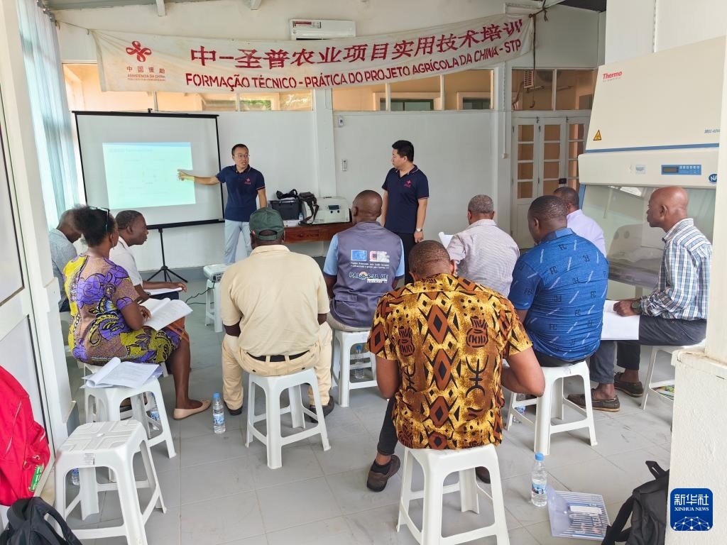 中國援圣普農(nóng)牧業(yè)技術(shù)項(xiàng)目組專家段振華（后左）在圣多美和普林西比的國家獸醫(yī)實(shí)驗(yàn)室開展動(dòng)物疫病監(jiān)測技術(shù)培訓(xùn)（2024年6月21日攝）。新華社發(fā)（中國援圣普農(nóng)技組供圖）