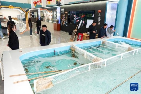 9月20日，游客在吉林省琿春市的帝王蟹保稅店內(nèi)選購(gòu)帝王蟹。新華社記者 許暢 攝