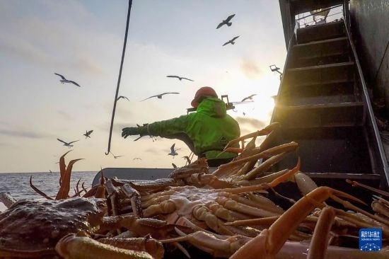 這是俄羅斯蟹業(yè)集團(tuán)工作人員進(jìn)行遠(yuǎn)洋捕撈的資料照片。新華社發(fā)（俄羅斯蟹業(yè)集團(tuán)供圖）