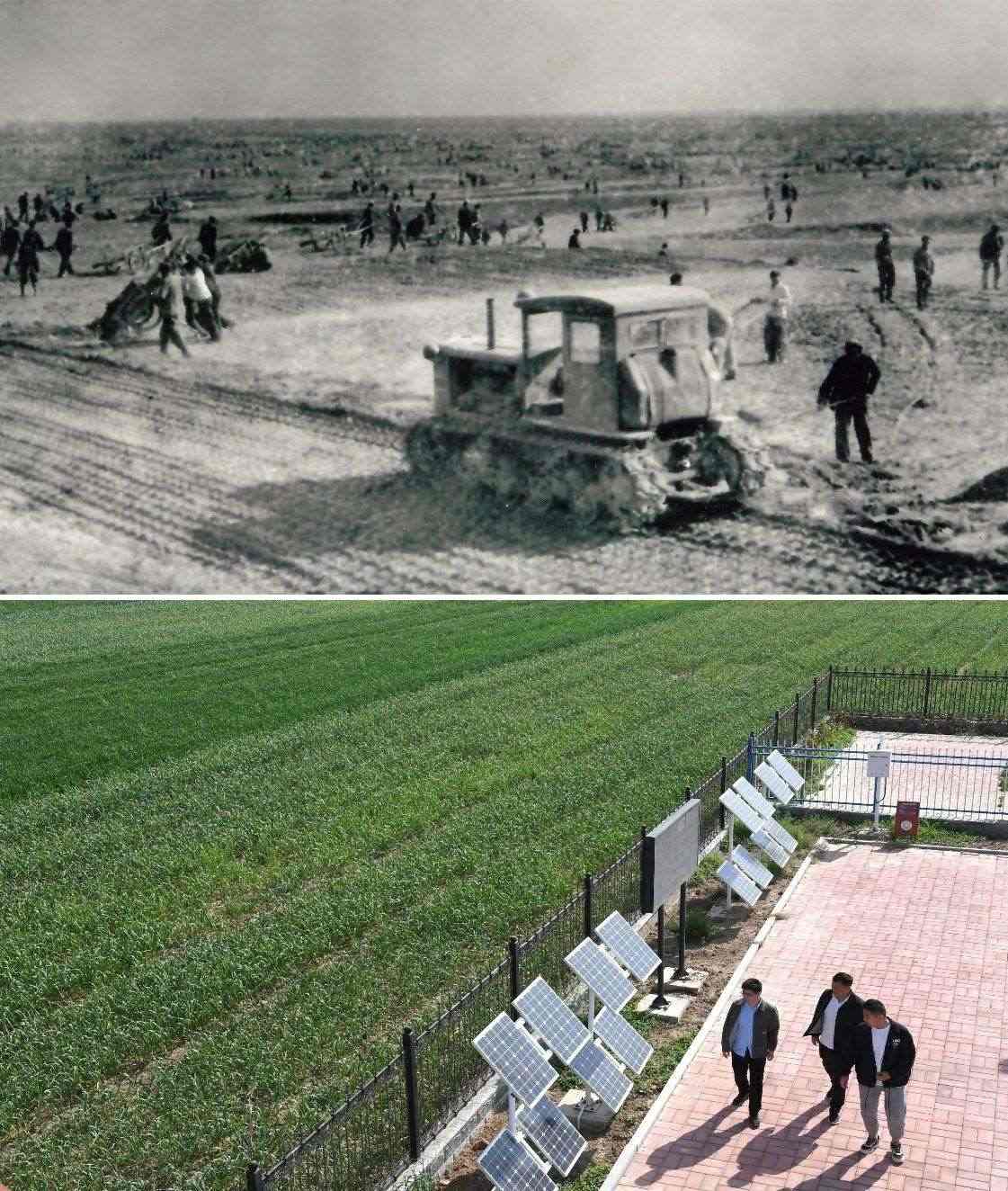 上圖為二十世紀六十年代蘭考改造鹽堿地的情景（資料照片）；下圖為2024年4月18日拍攝的蘭考縣紅廟鎮(zhèn)高標準農田示范區(qū)。（新華社記者 朱祥 攝）