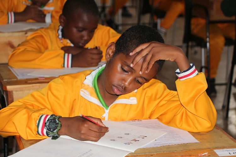 考場(chǎng)現(xiàn)場(chǎng)。埃格頓大學(xué)孔子學(xué)院供圖