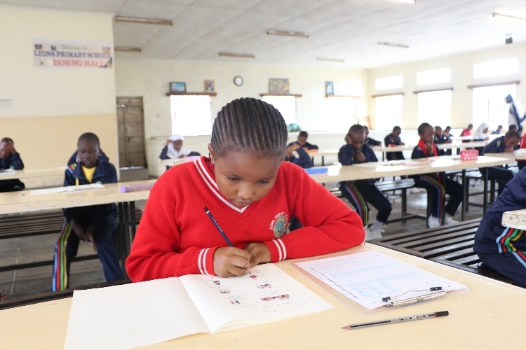 考場(chǎng)現(xiàn)場(chǎng)。埃格頓大學(xué)孔子學(xué)院供圖