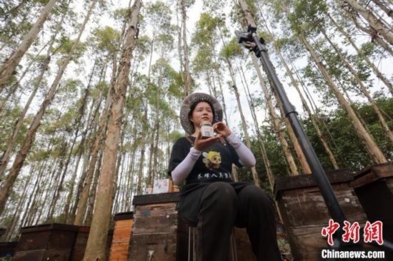 吳素英在網(wǎng)絡(luò)平臺直播介紹蜜蜂和養(yǎng)蜂情況。湯曉逵 攝