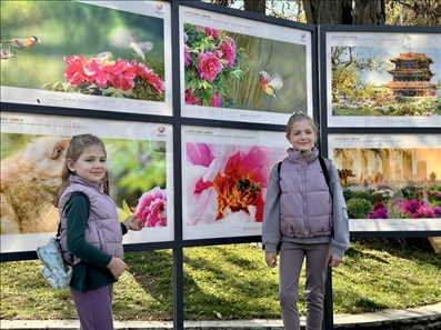 活動現(xiàn)場。中國駐保加利亞大使館供圖。