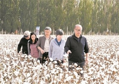 李召虎團(tuán)隊成員在棉田了解試驗情況。 受訪單位供圖
