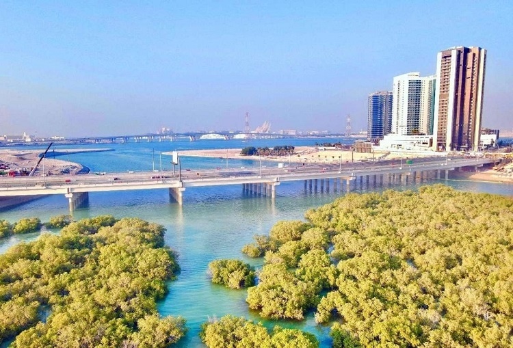 圖為瑞姆橋施工現(xiàn)場。中國土木供圖